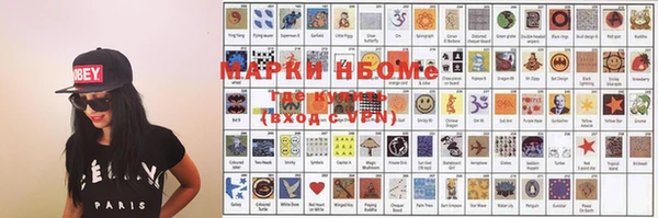 дживик Богородицк