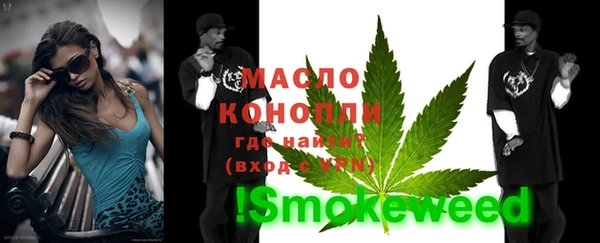 дживик Богородицк