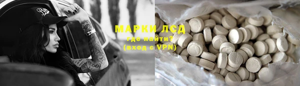 спиды Богданович