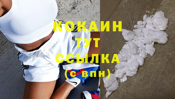 дживик Богородицк