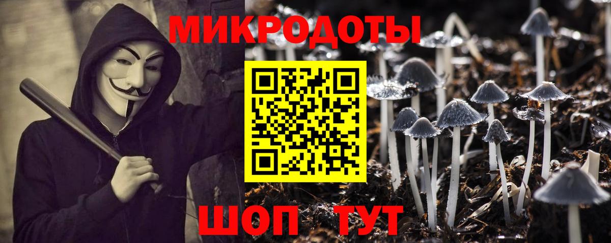 Обь  Галлюциногенные грибы Psilocybe  Вход с VPN 