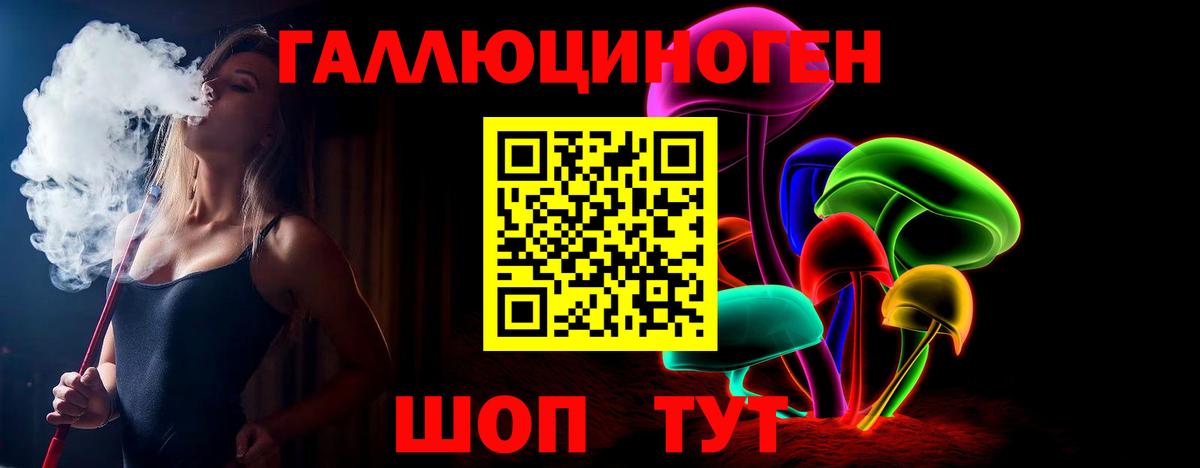 Галлюциногенные грибы Psilocybe Обь